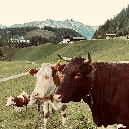 Haus Sennhof ウムハウゼン