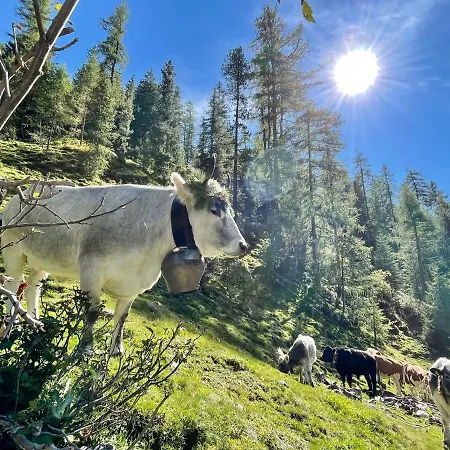 Apartament Haus Sennhof *