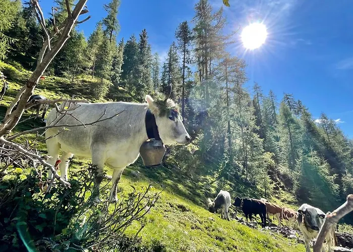 アパート Haus Sennhof *